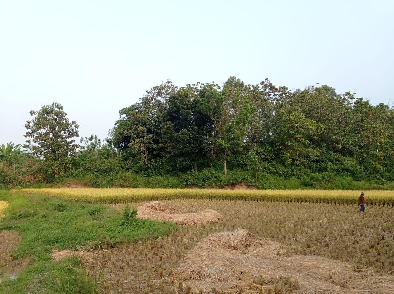 Dijual BU Tanah Murah di Kec. Bojong Mangu Kabupaten Bekasi - 11