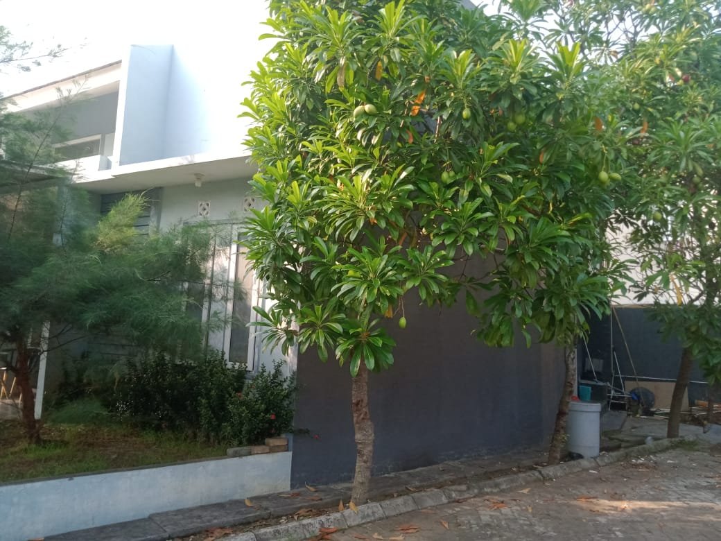 Disewakan Rumah Full Furnish, 2 Lantai di Perumahan Bukit Mas Residence, Serang - 8