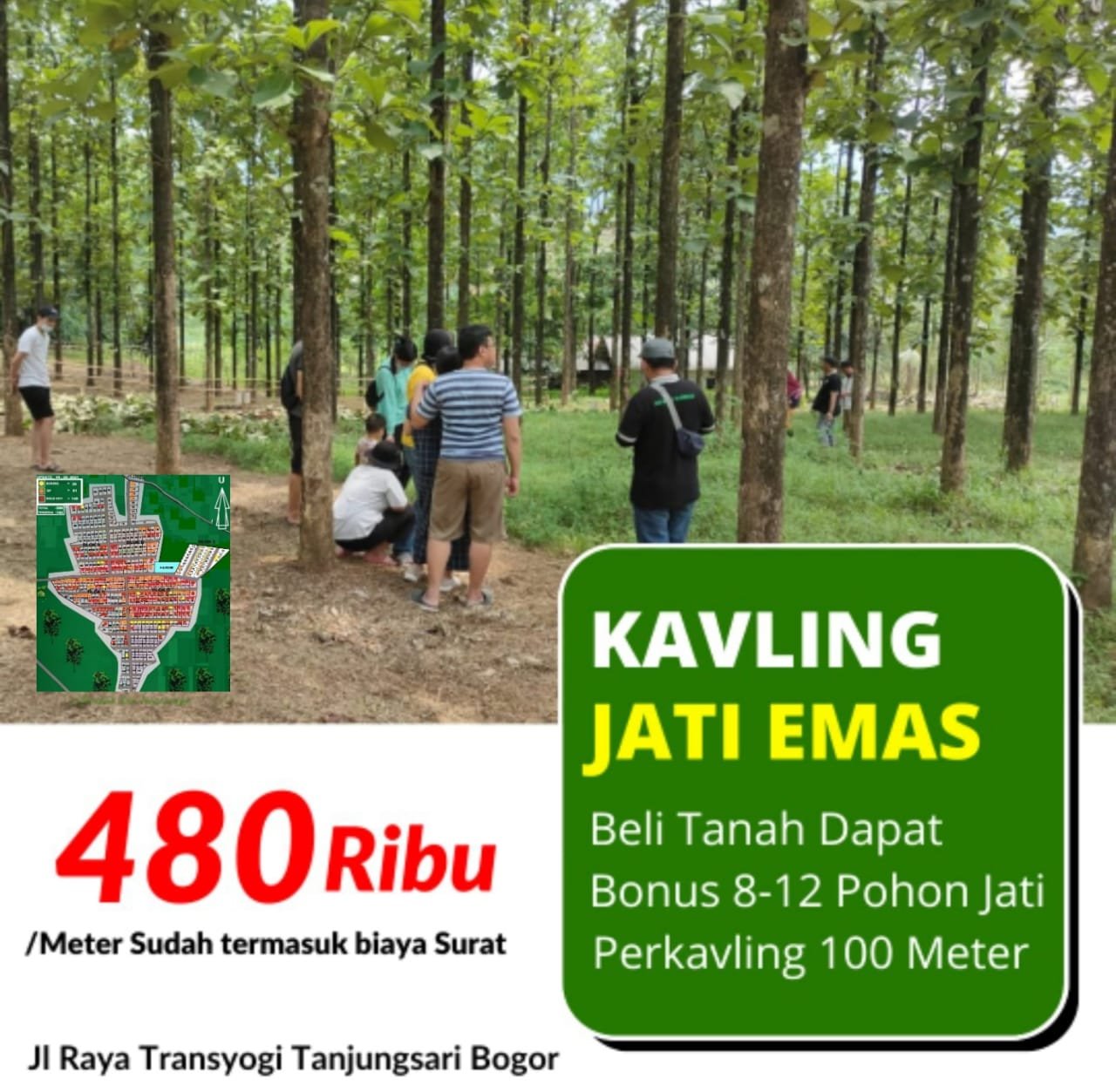 Kavling Kebun Djati emas Transyogi lokasi Strategis - 1