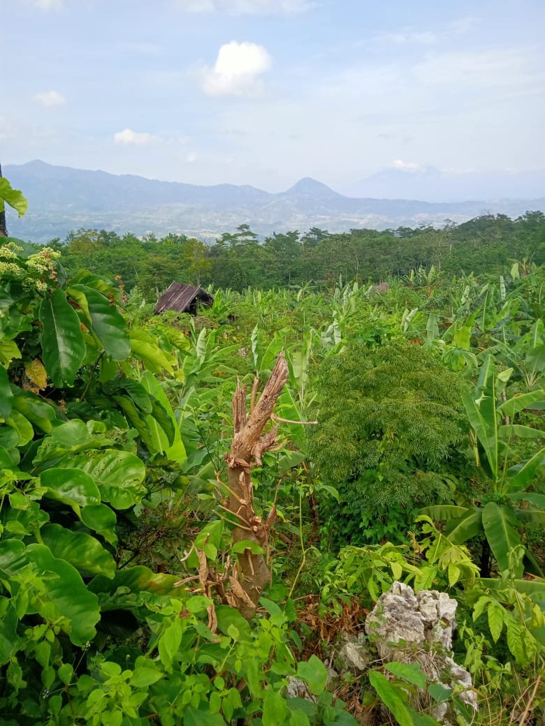 Dijual Tanah Murah Cocok Untuk Investasi,Villa, Rumah Bisa Akses Ke Puncak Di Klapanunggal Bogor - 3