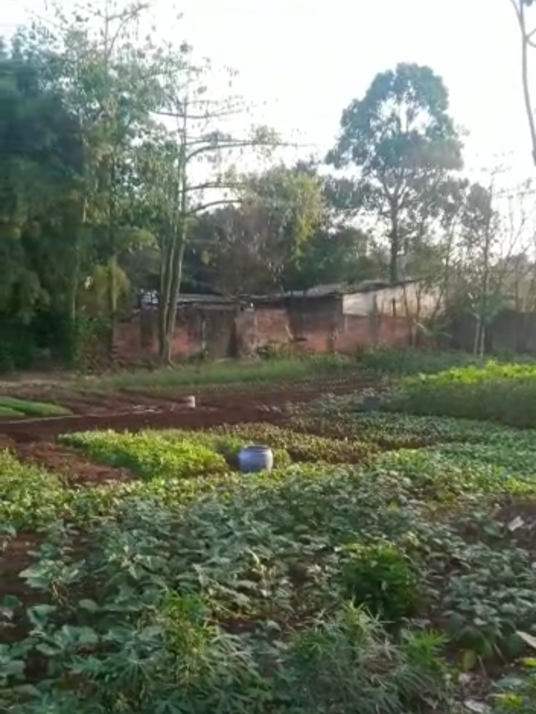 Tanah murah dekat Jalan Raya Ceger, Pondok Aren Luas 1260m2, hanya 4 Jt/m2 - 2