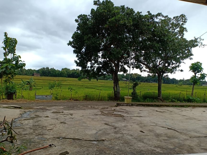 Rumah Siap Huni di Sragen - 5