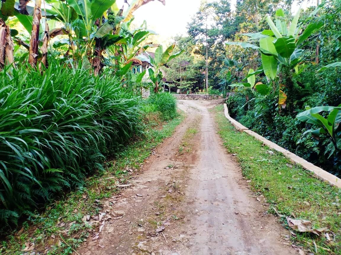 Tanah Datar 3000m² Kemuning Ngargoyoso Karanganyar - 2