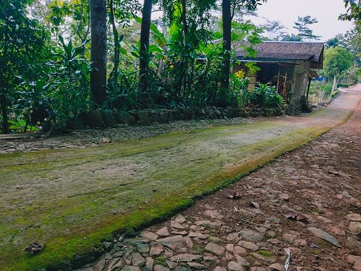 Tanah Subur 4000m² Mojogedang Karanganyar - 5