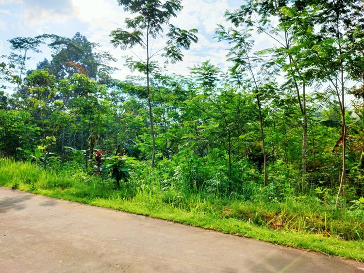 Tanah 1 Hektar Karangpandan Karanganyar - 4