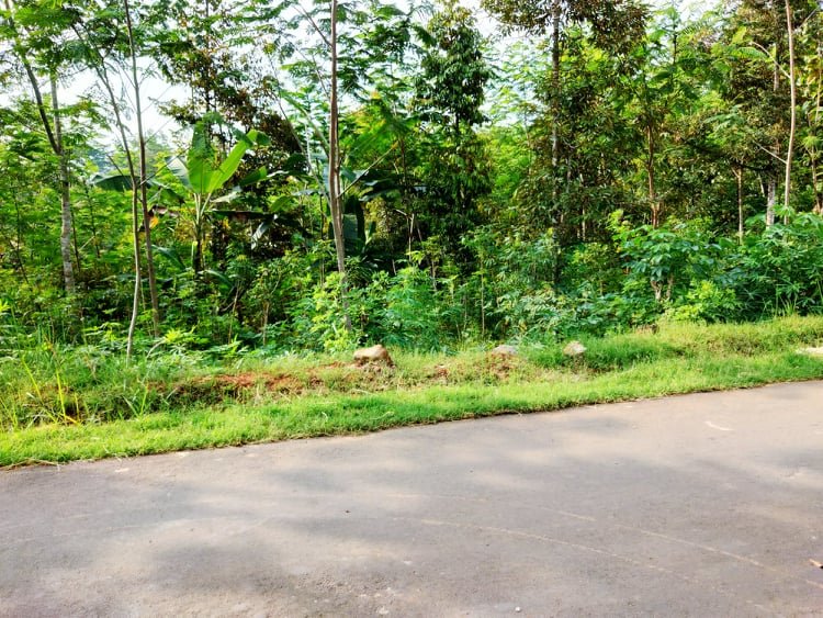 Tanah 1 Hektar Karangpandan Karanganyar - 2