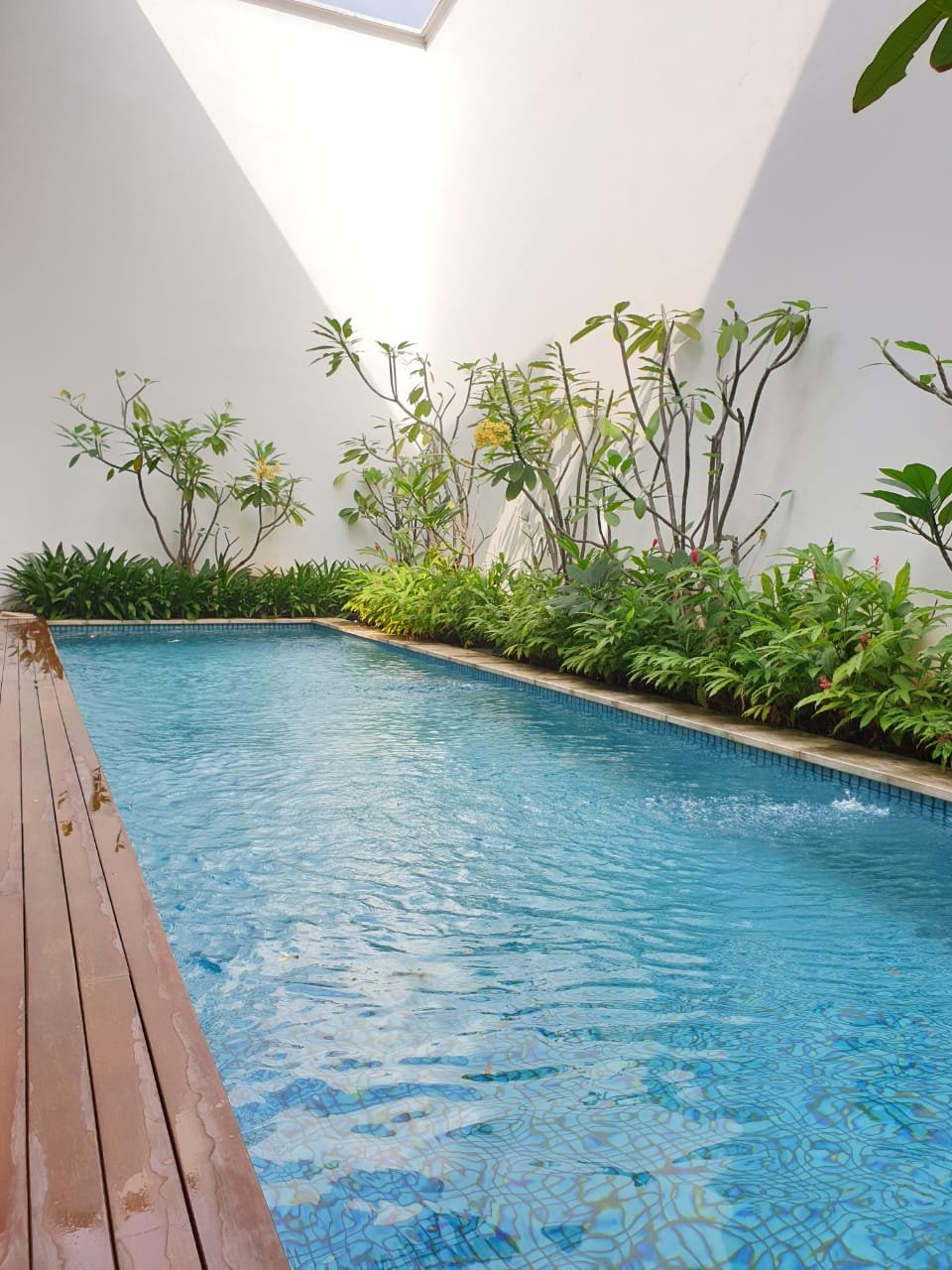 Rumah mewah Bonus Kolam Renang di Pondok Indah, Jakarta Selatan - 6