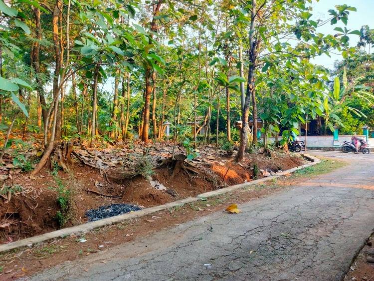 Jual Tanah DATAR Mojogedang Karanganyar - 2
