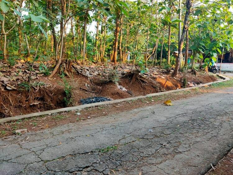 Jual Tanah DATAR Mojogedang Karanganyar - 4