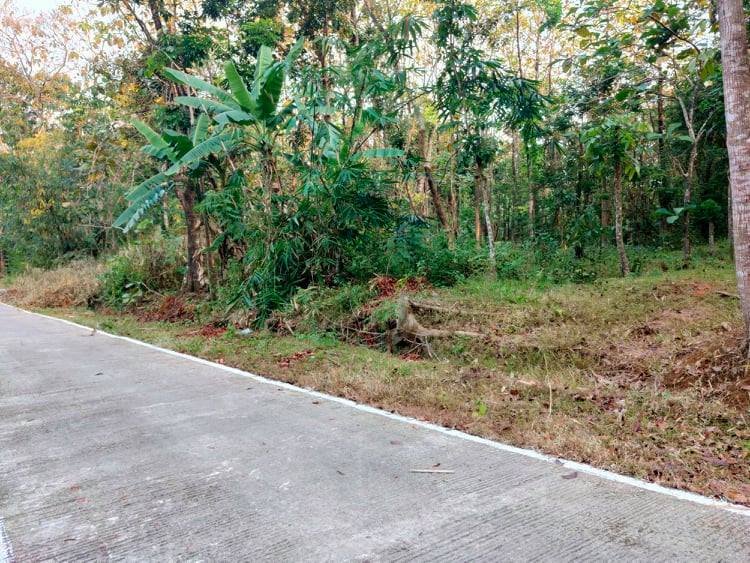Jual Tanah DATAR Mojogedang Karanganyar - 5