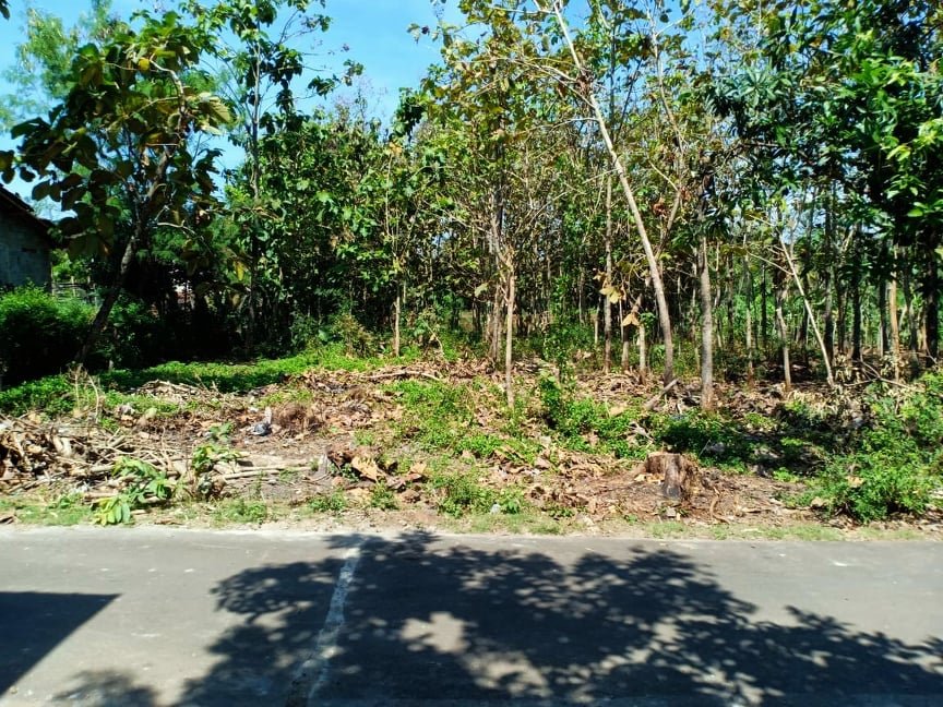 Jual Tanah Batu Jamus Kerjo Karanganyar - 5