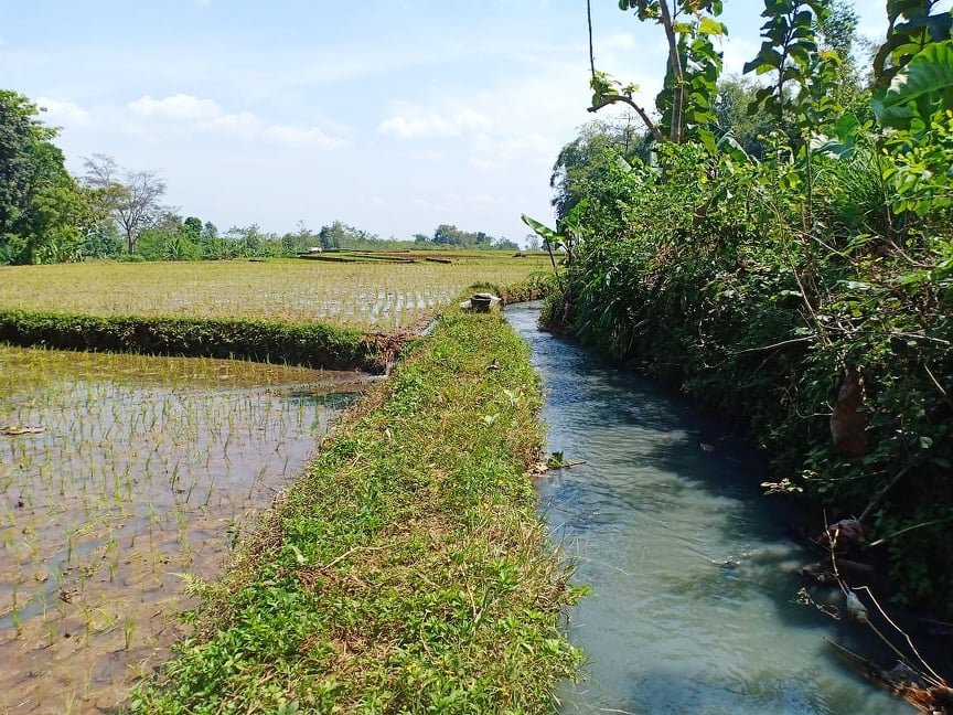 Jual Tanah Batu Jamus Kerjo Karanganyar - 2