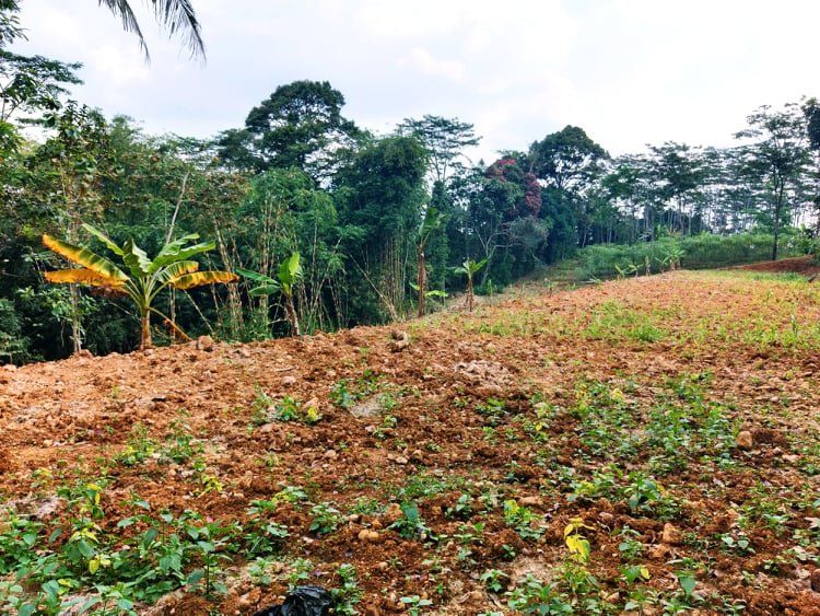Jual Tanah 3000m² Karangpandan Karanganyar - 5