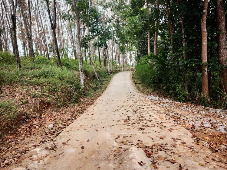 Jual Tanah 3000m² Karangpandan Karanganyar - 2