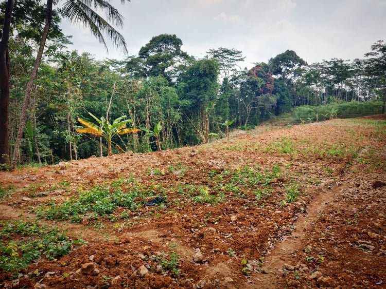 Jual Tanah 3000m² Karangpandan Karanganyar - 3
