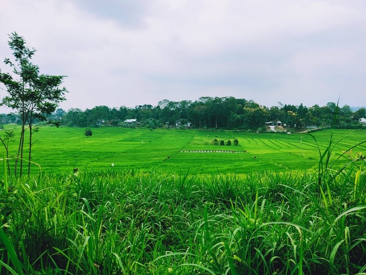 Jual Tanah 1360m² Karangpandan Karanganyar - 5
