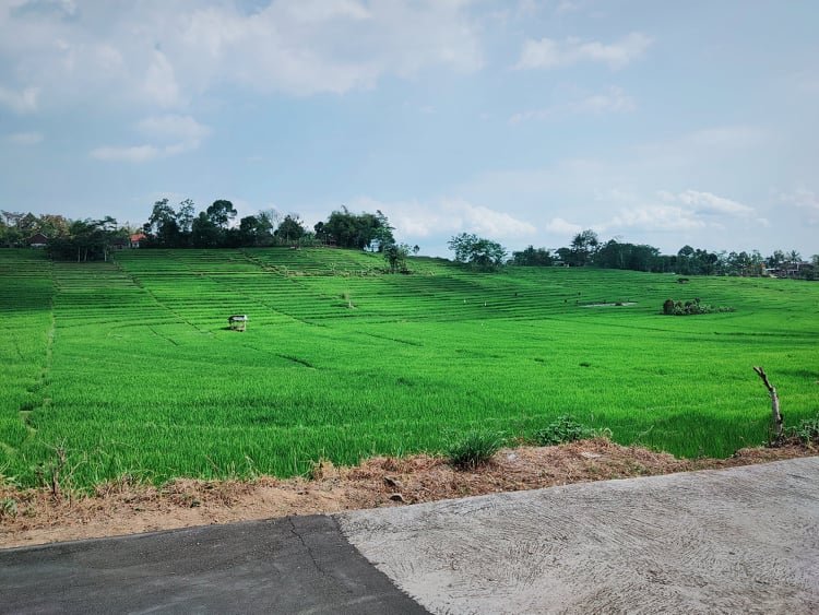 Jual Tanah 1360m² Karangpandan Karanganyar - 3