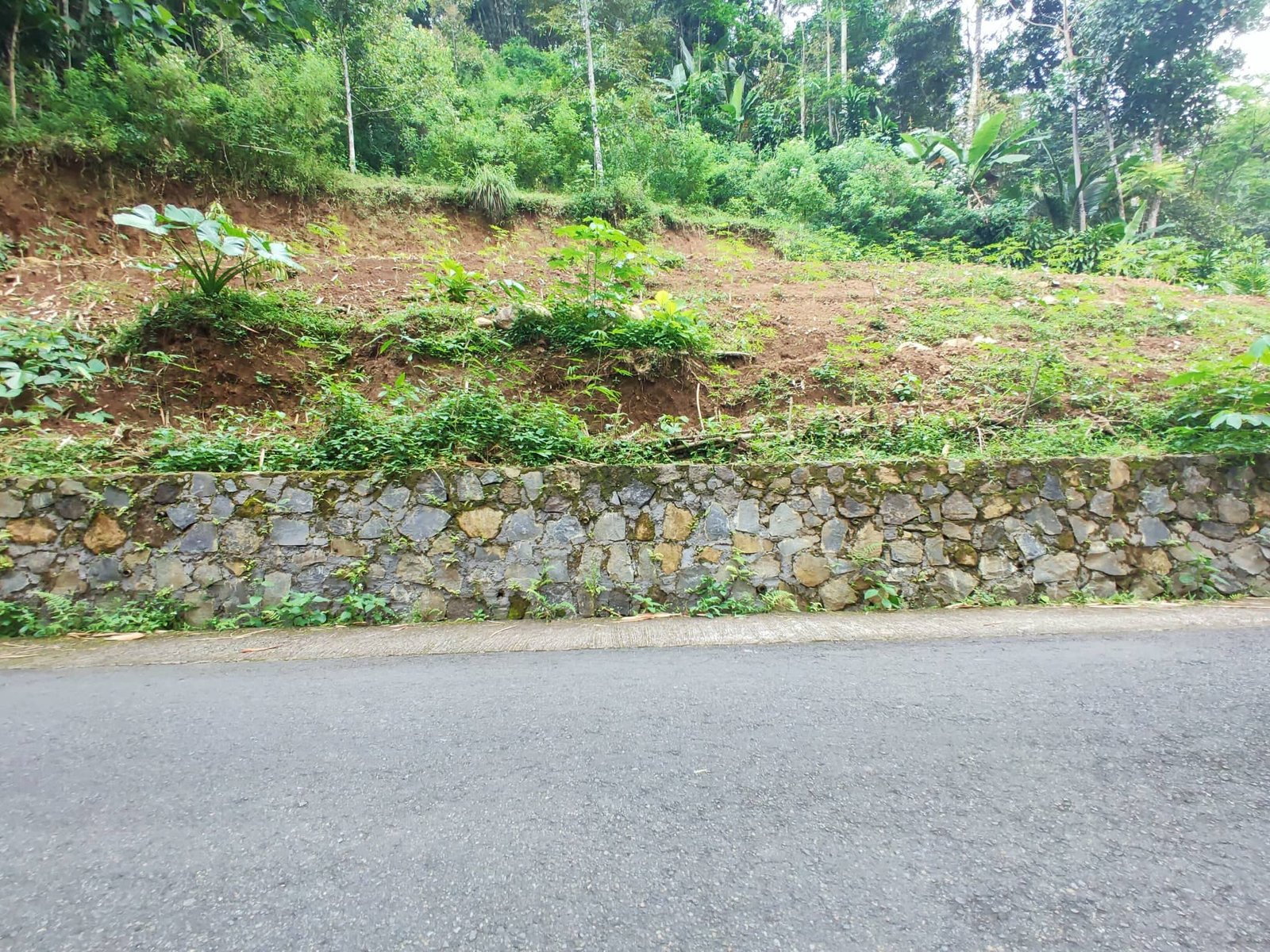 Jual Tanah Strategis Ngargoyoso Karanganyar - 2