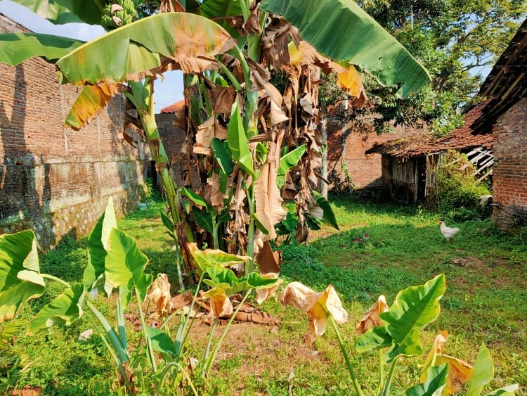 Jual Tanah Karangpandan Kota Karanganyar - 3