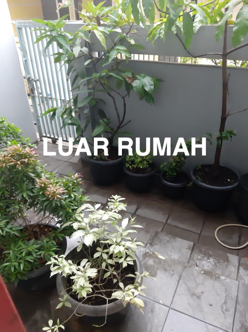 Dijual Rumah di Jln Jati Rawasari Cempaka Putih Jakarta Pusat - 2