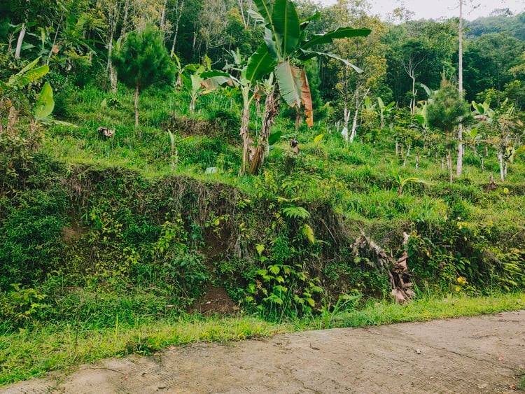 Jual Tanah dekat Pasar Kemuning Ngargoyoso Karanganyar - 5