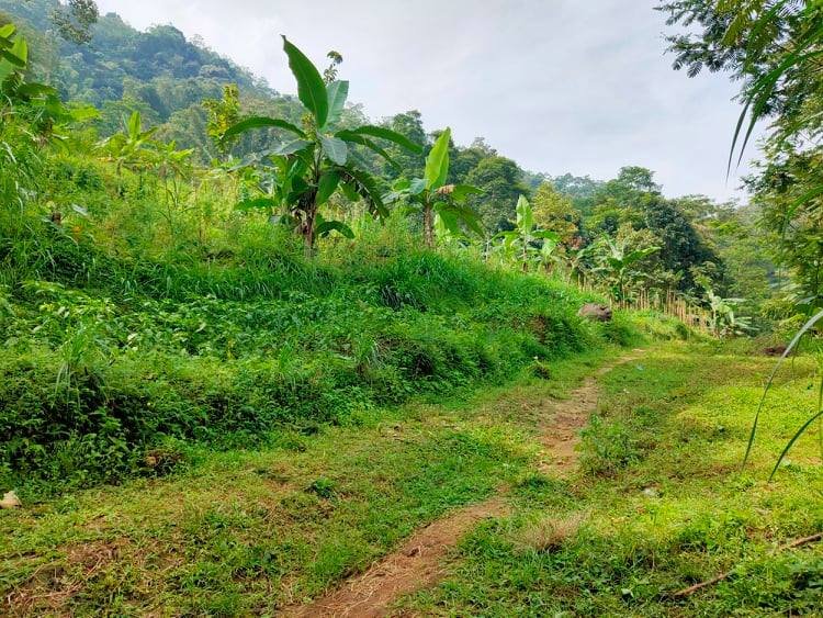 Jual Tanah dekat Pasar Kemuning Ngargoyoso Karanganyar - 2