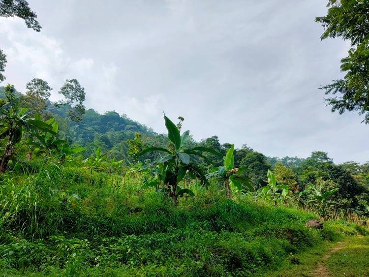 Jual Tanah dekat Pasar Kemuning Ngargoyoso Karanganyar - 7