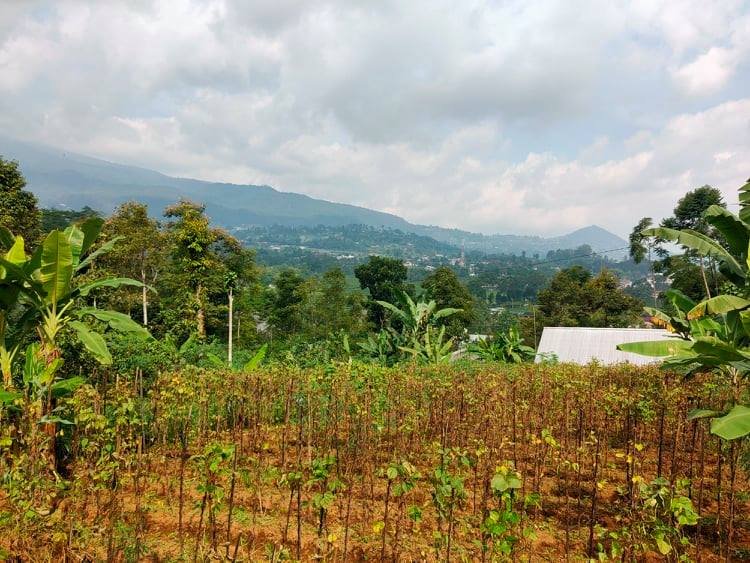 Jual Tanah dekat Pasar Kemuning Ngargoyoso Karanganyar - 6