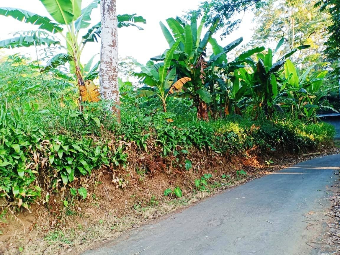 Jual Tanah 2950m² Kemuning Ngargoyoso Karanganyar - 2