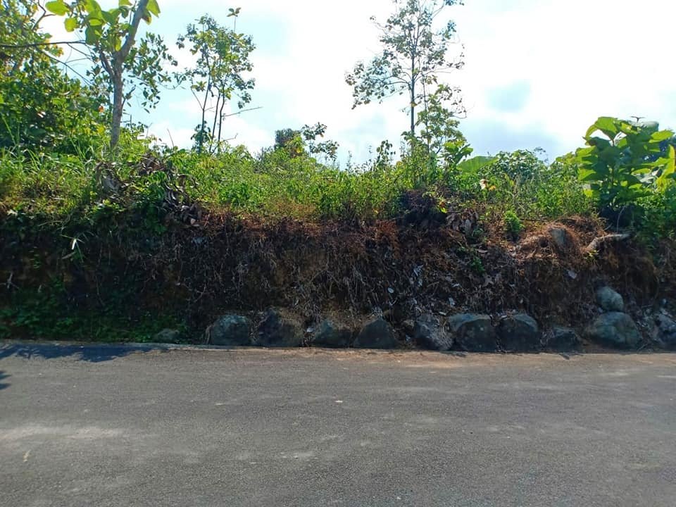 Jual Tanah Kota Karangpandan Karanganyar - 5