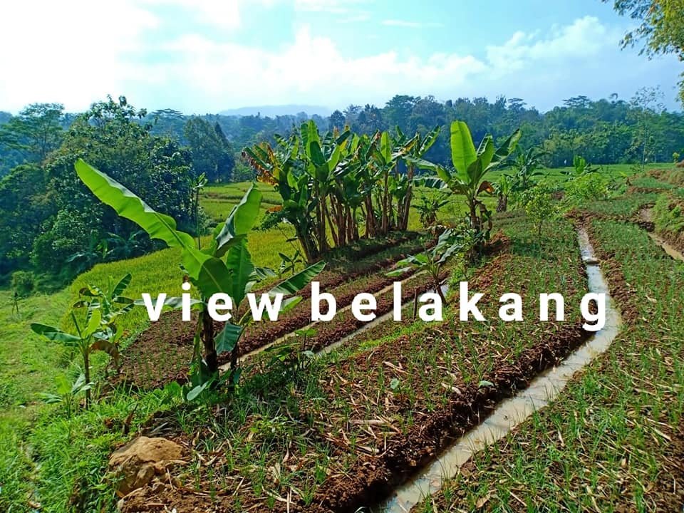 Jual Tanah Kota Karangpandan Karanganyar - 3