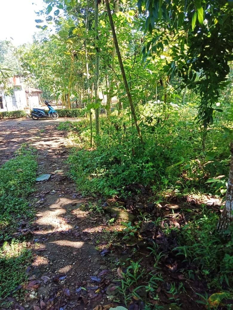 Jual Tanah Murah Karangpandan Karanganyar - 6