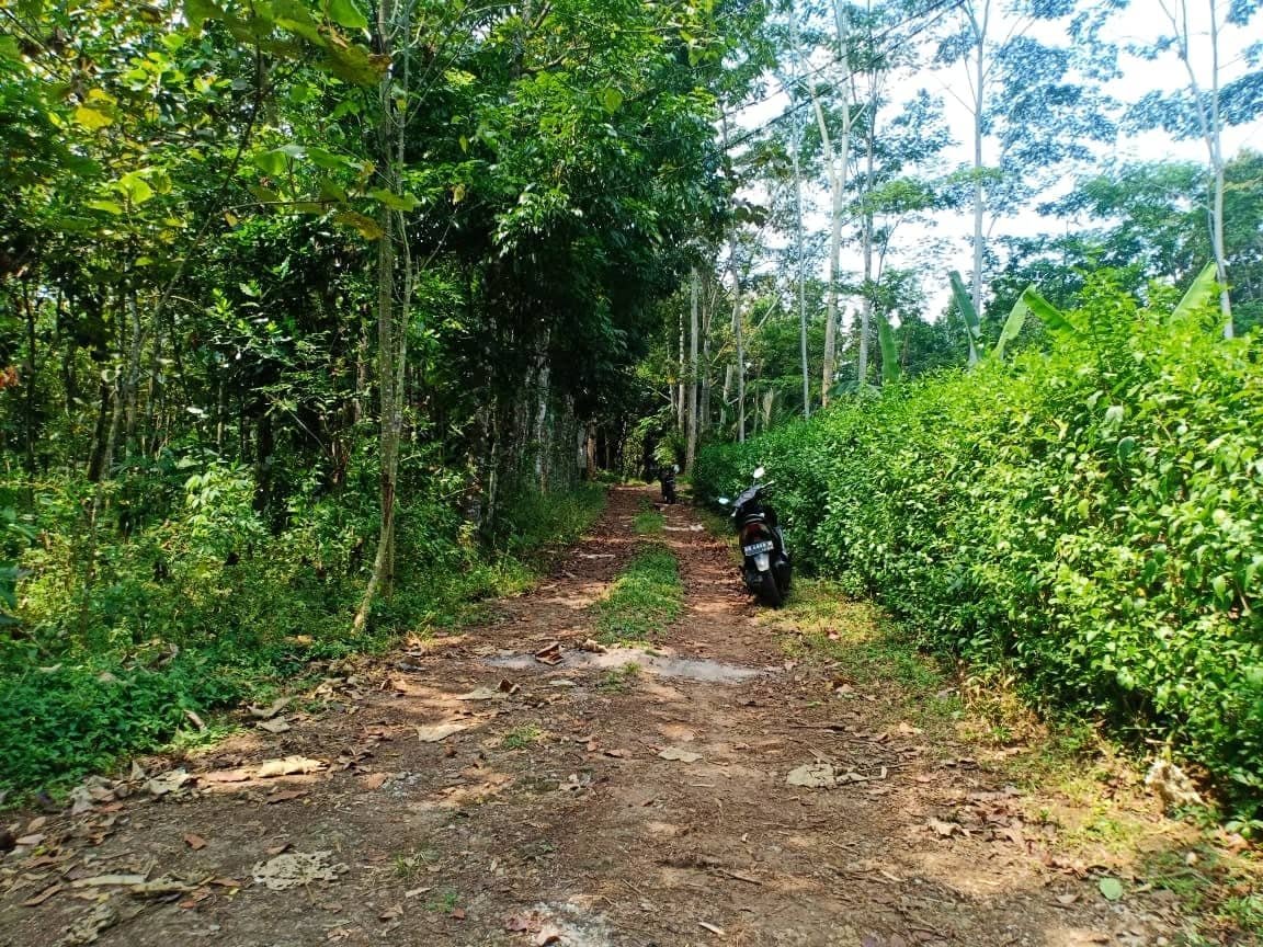 Jual Tanah Murah Karangpandan Karanganyar - 3