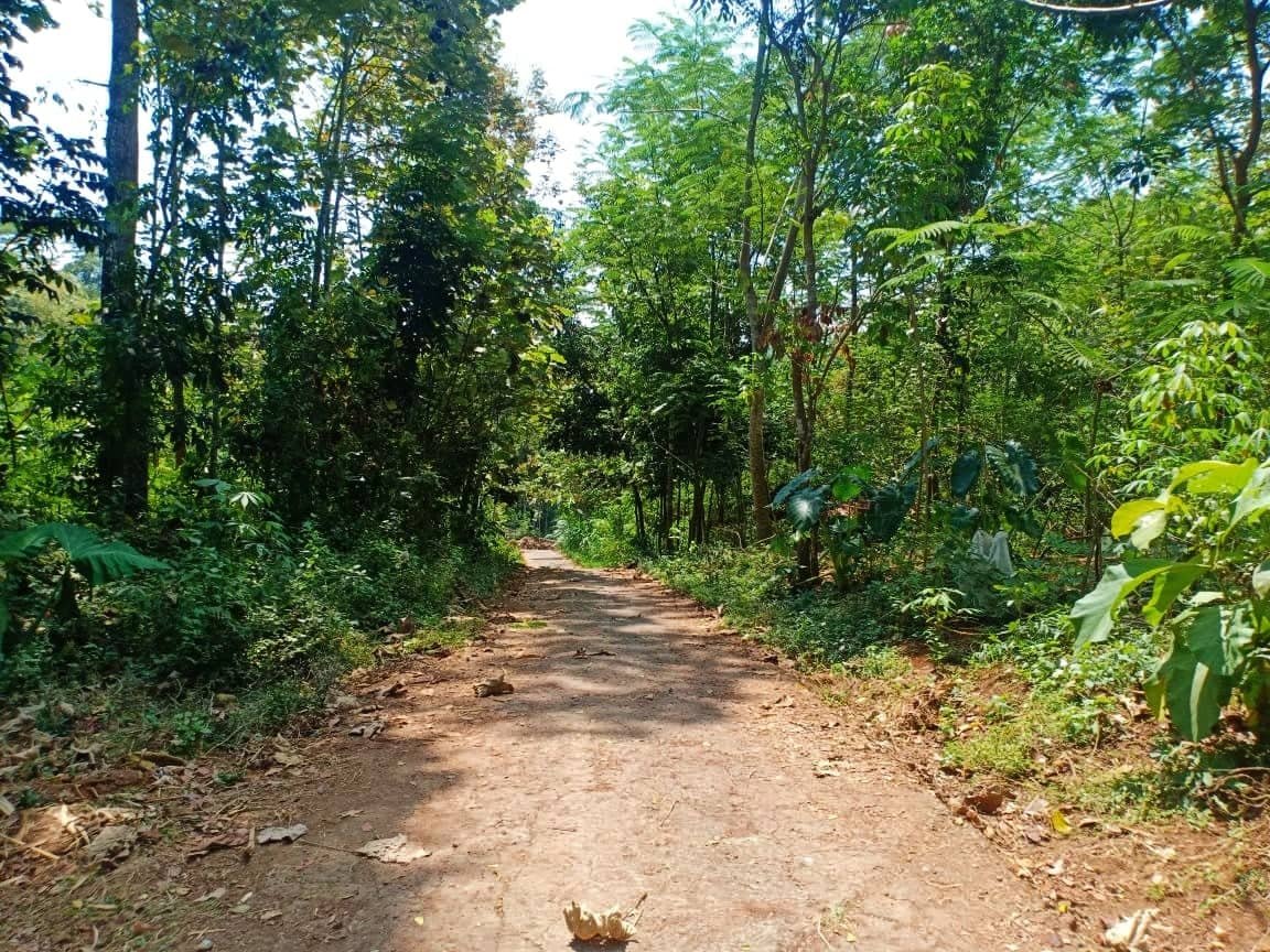 Jual Tanah Murah Karangpandan Karanganyar - 5