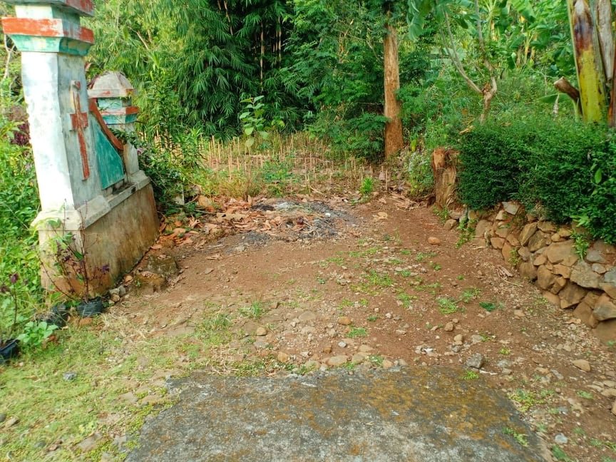 Jual Tanah Subur Mojogedang Karanganyar - 2