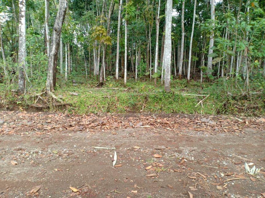 Jual Tanah dekat Kantor Pertanian Mojogedang Karanganyar - 2