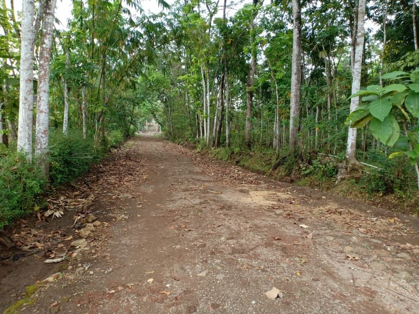 Jual Tanah dekat Kantor Pertanian Mojogedang Karanganyar - 3
