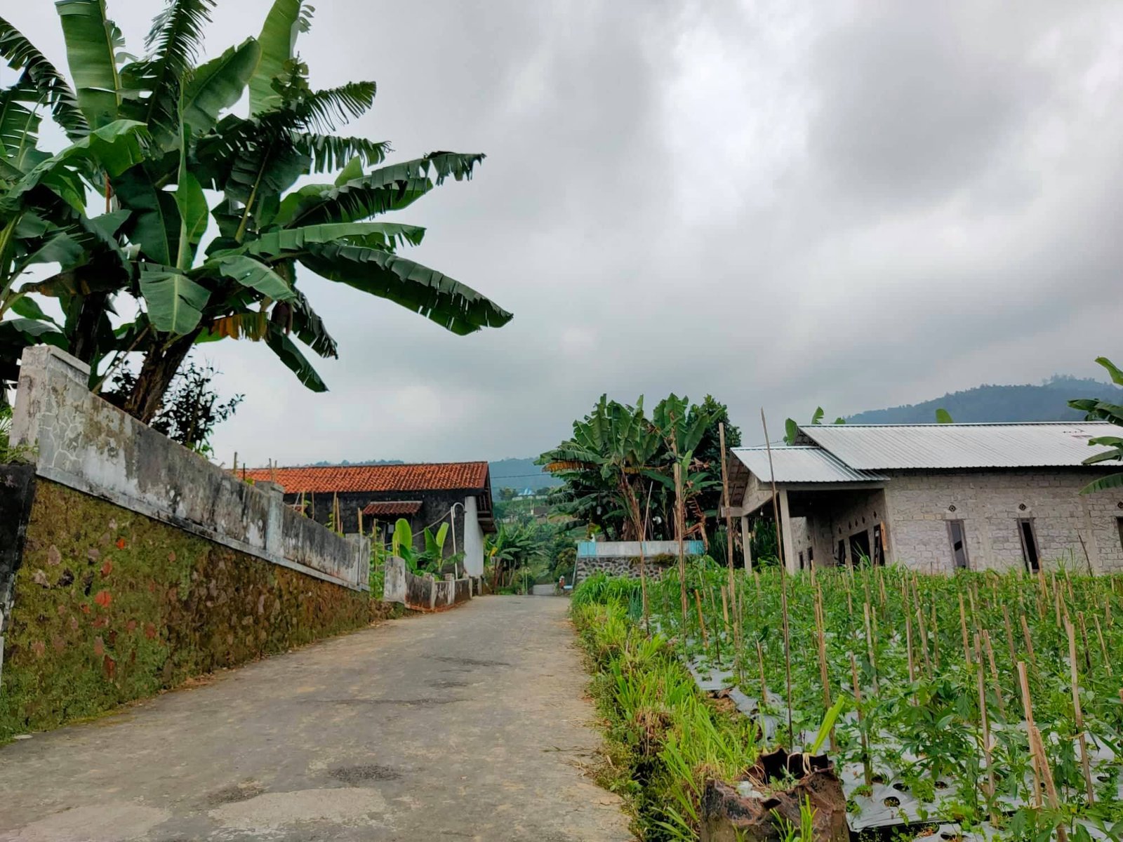 Dijual Tanah Dekat obyek wisata Ngargoyoso Karanganyar - 8