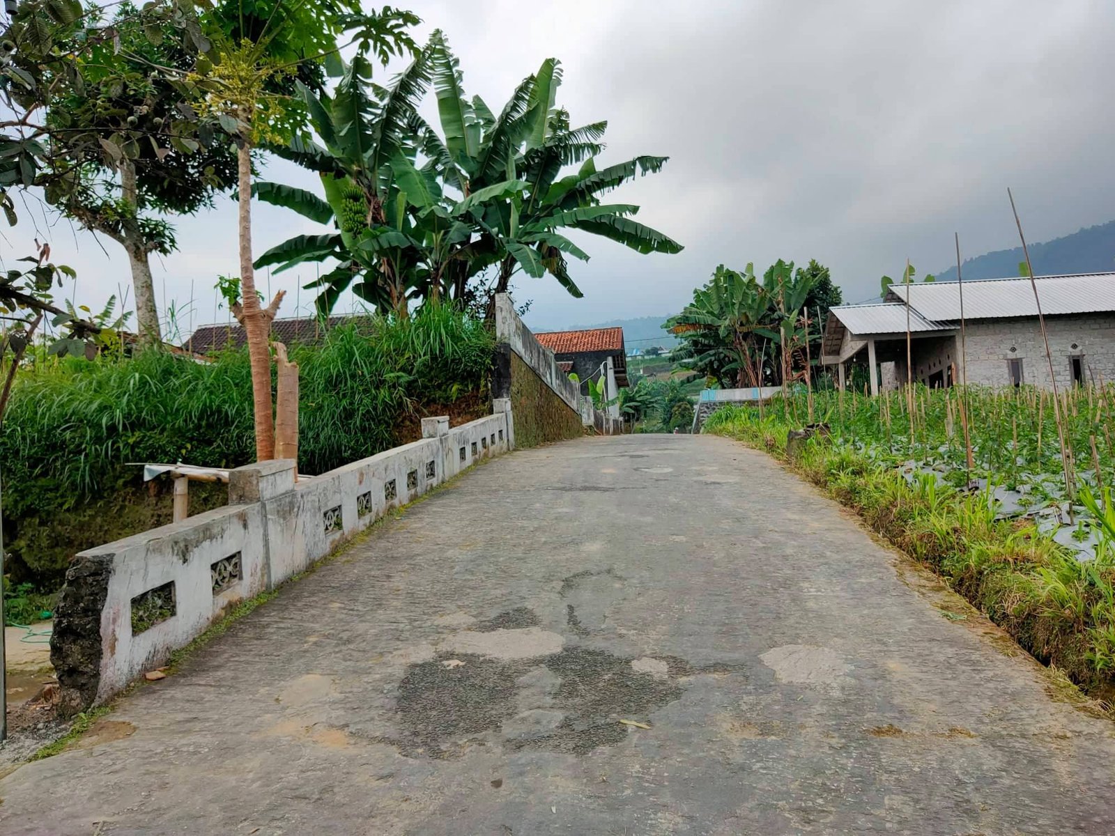 Dijual Tanah Dekat obyek wisata Ngargoyoso Karanganyar - 5