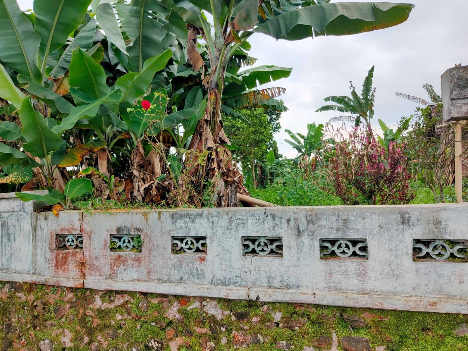 Dijual Tanah Dekat obyek wisata Ngargoyoso Karanganyar - 3