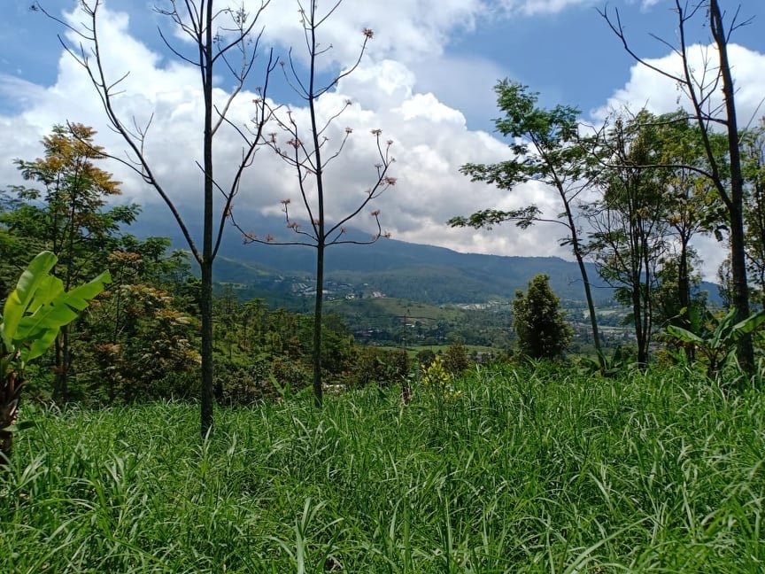Dijual Tanah 688m² Kemuning Ngargoyoso Karanganyar - 3