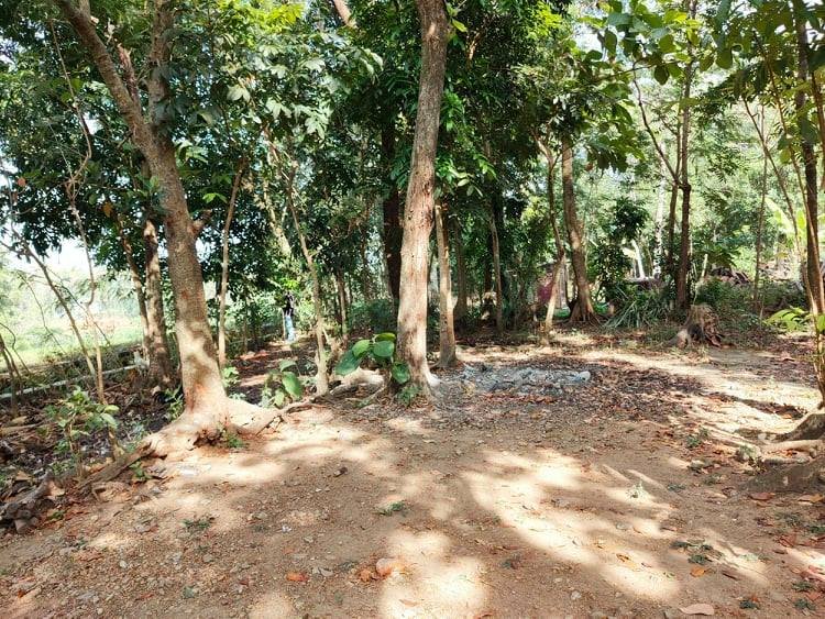 Dijual Tanah di Karangpelem Kedawung Sragen - 2