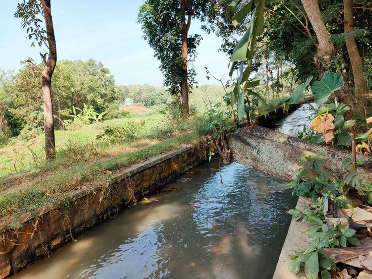 Dijual Tanah di Karangpelem Kedawung Sragen - 4