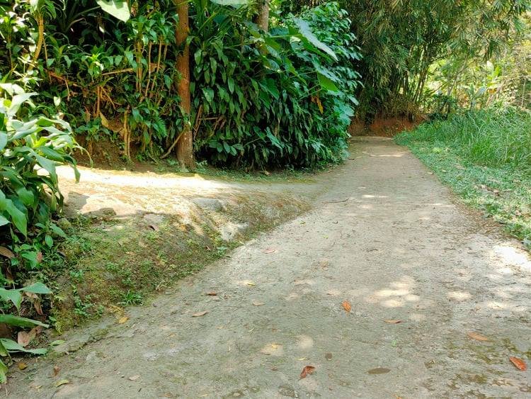 Jual Tanah Kebun Kopi Ngargoyoso Karanganyar - 3