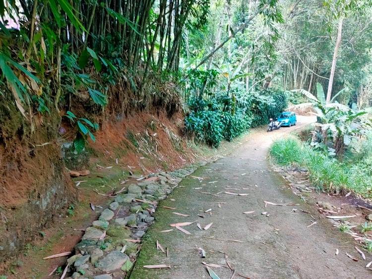 Jual Tanah Kebun Kopi Ngargoyoso Karanganyar - 7