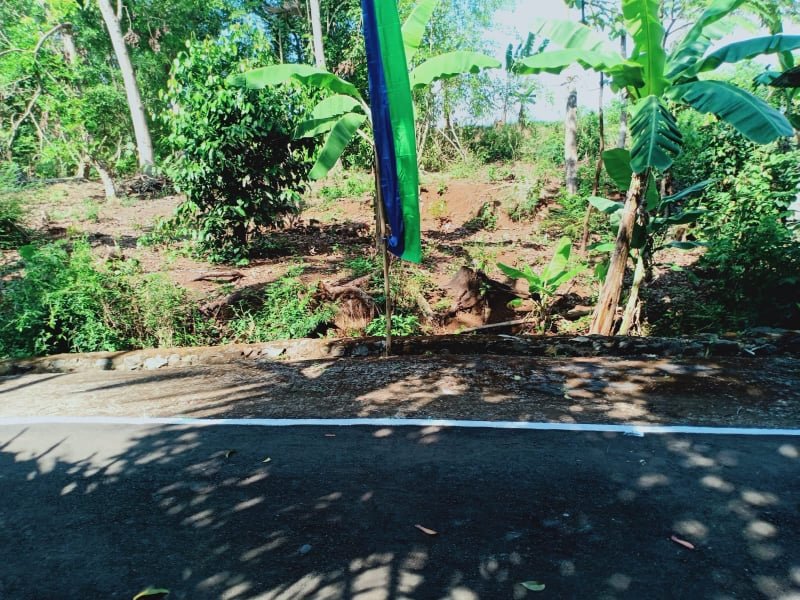 Jual Tanah Kerjo Karanganyar - 2