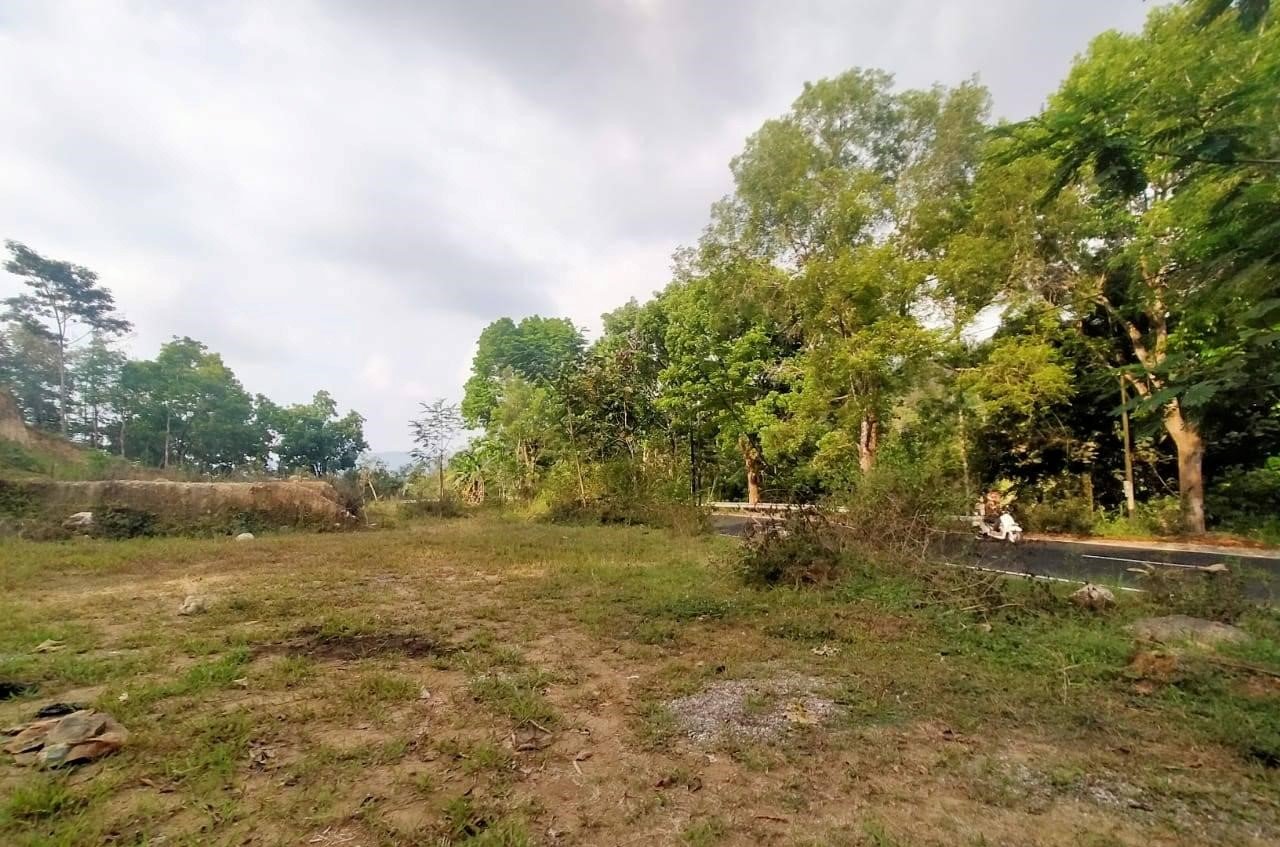Jual Tanah strategis buka usaha Karangpandan Karanganyar - 4