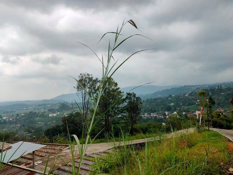 Jual Tanah Cocok untuk Villa Kemuning Ngargoyoso Karanganyar - 2