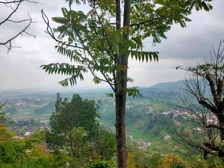 Jual Tanah Strategis Kemuning Ngargoyoso Karanganyar - 2