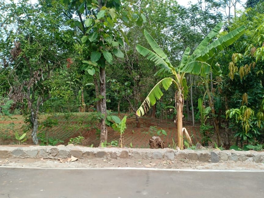 Jual Tanah Datar 1200m² Kerjo Karanganyar - 2